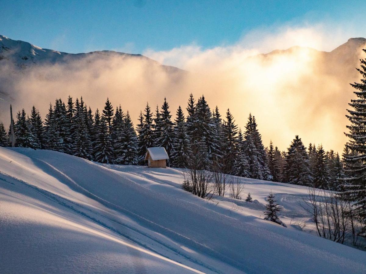 Chalet Arthur モルジヌ エクステリア 写真